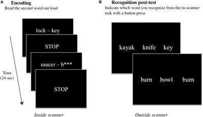 Sex, Age, and Handedness Modulate the Neural Correlates of Active Learning